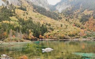 九寨沟旅游景点介绍？九寨沟旅游景点介绍作文？