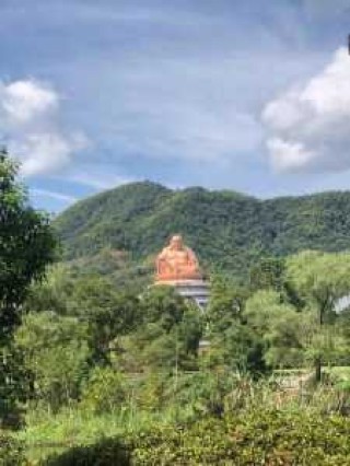 雪窦山门票多少一张？2020雪窦山门票优惠政策本地人？