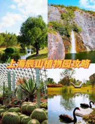 上海辰山植物园的特色，上海辰山植物园景点布局特色？