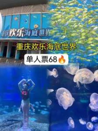 杭州海底世界游玩攻略，杭州海底世界旅游攻略？