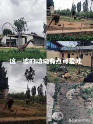 石家庄动物园海洋馆门票，石家庄动物园海洋馆门票多少钱一个人？