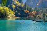 九寨沟景区景点介绍，九寨沟景点旅游攻略？