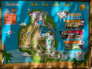 深圳野生动物园特价49元，深圳野生动物园特价49元2021年