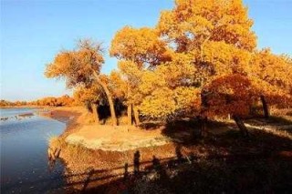 十一旅游去哪里最合适，十一旅游去哪里最合适国内