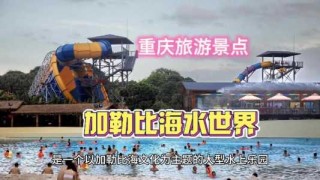 重庆海昌加勒比海水世界，重庆海昌加勒比海水世界项目介绍