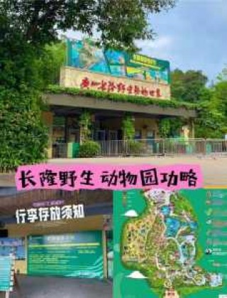 广州长隆游玩攻略一天？广州长隆攻略旅游攻略 一日游？
