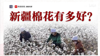 新疆棉花质量好？新疆棉花质量好的主要原因？