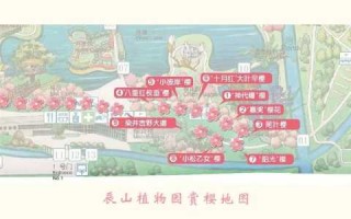 上海辰山植物园几月份去比较好，上海辰山植物园什么时候去