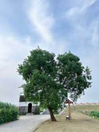 南京前十网红打卡地，南京网红打卡地方