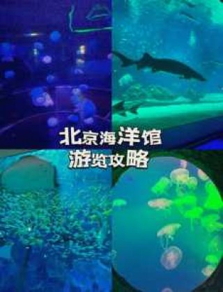 北京海底世界哪里比较好玩，北京海底世界那个比较好玩？