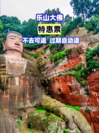 乐山大佛景区门票多少钱，乐山大佛门票费用及优惠政策