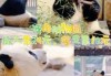 济南动物园门票多少钱2021，济南动物园门票多少钱逛济南动物园需要多长时间？