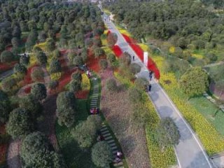 重庆沙坪坝前十景点，重庆沙坪坝前十景点图片