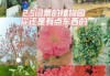 石家庄植物园现在门票多少钱，石家庄最佳一日游？