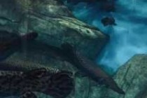 济南大明湖海底世界，济南大明湖海底世界表演时间表？