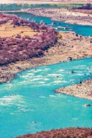 3月份去哪里旅游比较好国内，3月份旅游最佳地方？