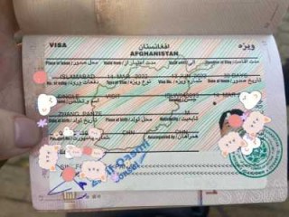 巴基斯坦签证中心官方网站，巴基斯坦对中国免签吗