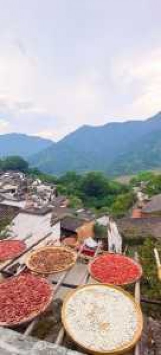 江西婺源旅游景点介绍？江西婺源旅游景点排名前十？
