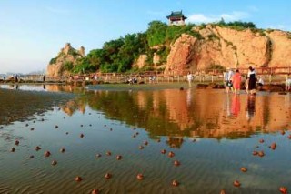 鸽子窝公园游玩攻略，鸽子窝公园游玩攻略小红书？