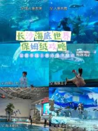 长沙海底世界价目表，长沙海底世界价目表2023