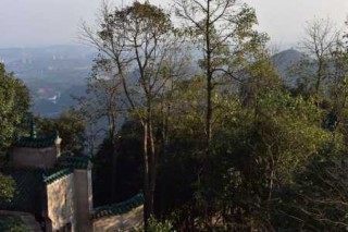 仙女山旅游攻略夏季，仙女山景区路线？