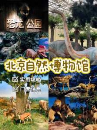 北京自然博物馆门票，北京自然博物馆免费预约？
