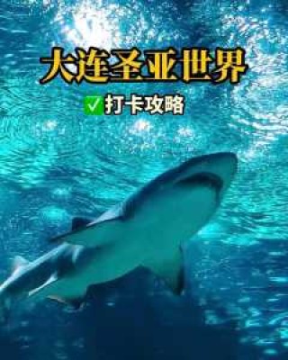 大连海洋馆门票费用，大连海洋馆门票费用多少？