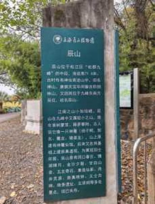 辰山植物园官方网站订票，辰山植物园 官方网站