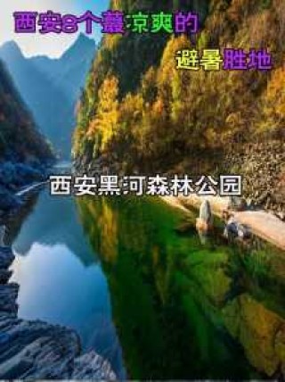 西安自驾一日游最佳，西安自驾一日游最佳攻略？