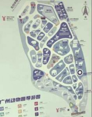 广州海洋馆现在开放吗？广州海洋馆现在开放吗最近？