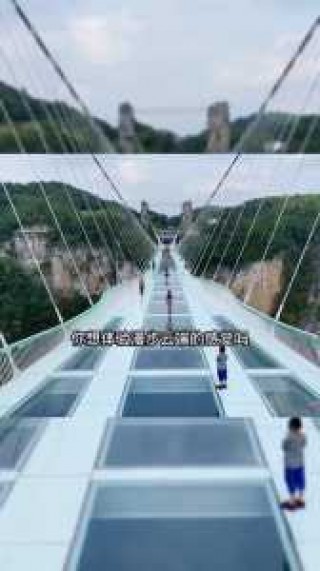 张家界蹦极的费用3000，张家界蹦极多少钱一位2021
