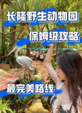 广州长隆野生动物园，广州长隆野生动物园地图？
