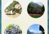 长江三峡三日游路线，三峡大坝位于哪个城市