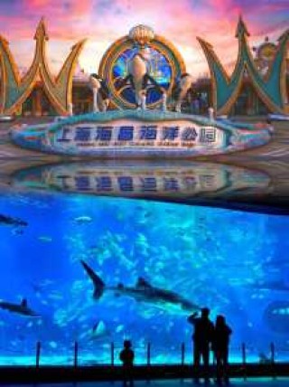 海昌极地海洋公园简介，海昌极地海洋公园介绍？