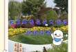世界花卉大观园门票多少钱，丰台世界花卉大观园门票多少钱