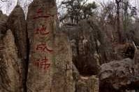 白塔寺门票预约？白塔寺门票免票政策？