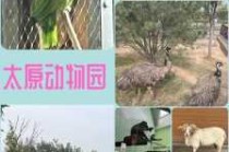 太原动物园现在能去吗，太原动物园现在能去吗有疫情吗？