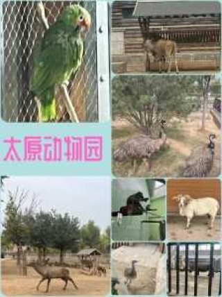 太原动物园现在能去吗，太原动物园现在能去吗有疫情吗？