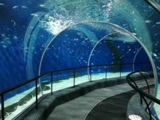 上海海底世界门票？上海海底世界门票怎么买？
