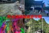商洛凤凰古镇旅游攻略，商洛凤凰古镇有哪些好玩的地方