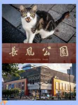 长风公园海洋世界门票？长风公园海洋世界门票电话？