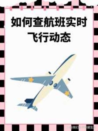 飞机到达时间实时查询，飞机到达时间实时查询航班动态？