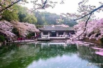 鼋头渚门票优惠政策2021，鼋头渚门票优惠政策最新