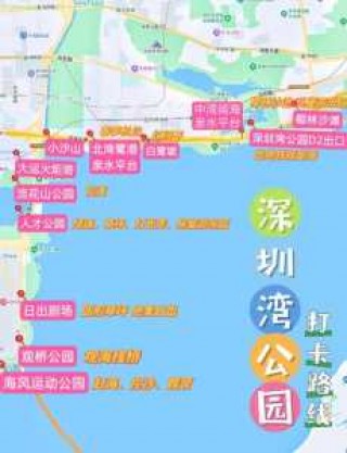 深圳湾公园游玩攻略，深圳湾公园景点
