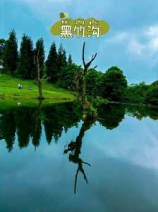 乐山黑竹沟旅游攻略，乐山黑竹沟景区