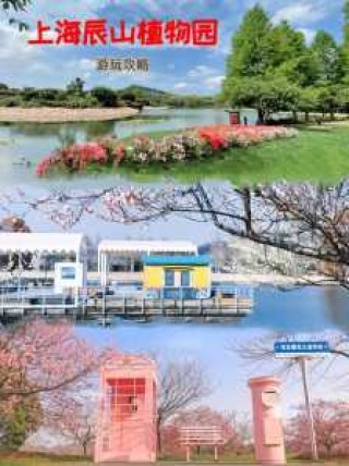 上海辰山植物园几月份去比较好，上海辰山植物园什么时候去