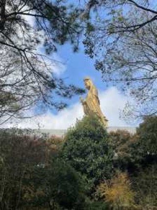 普陀山为什么要去三年，普陀山为什么要门票？