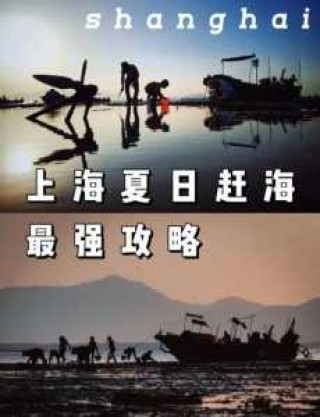 上海好玩又免费的海滩，上海哪个海滩比较好玩是免费的