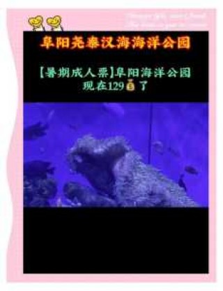 泰安天乐城水世界？泰安天乐城水世界营业时间？