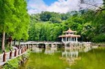 深圳仙湖植物园门票？深圳仙湖植物园门票多少钱?有优惠政策吗?？